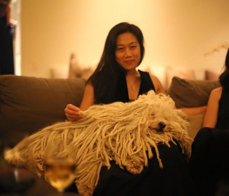 Beast, tra tenerezze e tecnologia: il cane social di Mark Zuckerberg