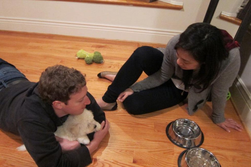 Beast, tra tenerezze e tecnologia: il cane social di Mark Zuckerberg