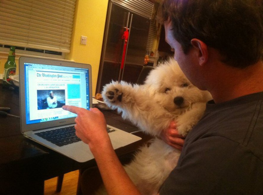 Beast, tra tenerezze e tecnologia: il cane social di Mark Zuckerberg