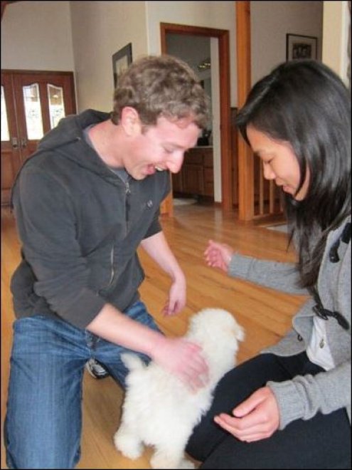 Beast, tra tenerezze e tecnologia: il cane social di Mark Zuckerberg