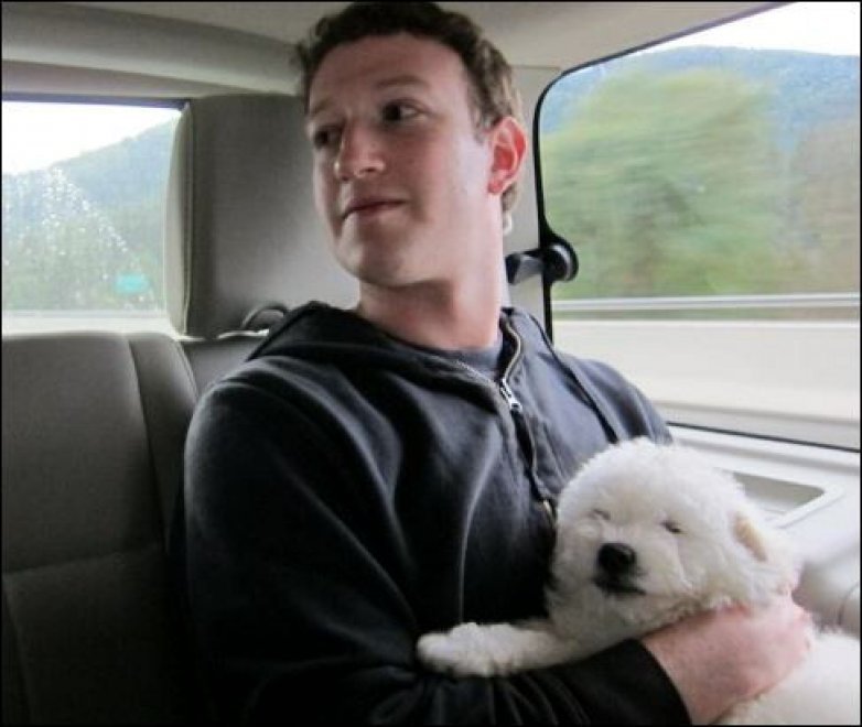 Beast, tra tenerezze e tecnologia: il cane social di Mark Zuckerberg