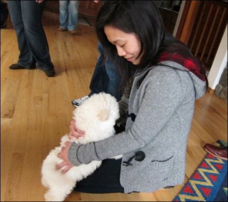 Beast, tra tenerezze e tecnologia: il cane social di Mark Zuckerberg