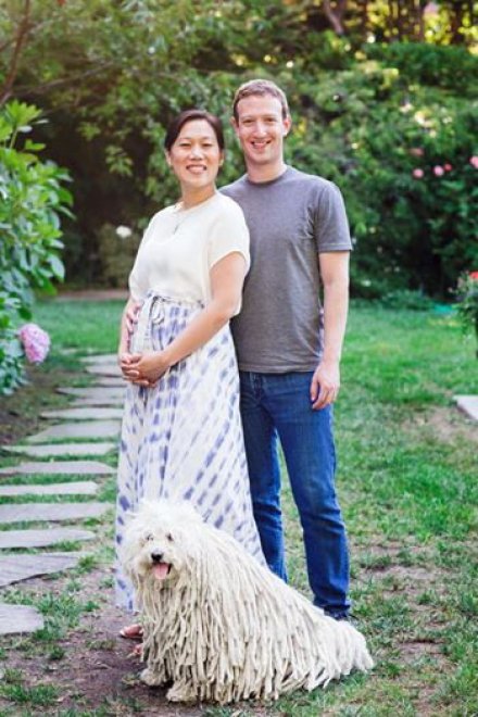 Beast, tra tenerezze e tecnologia: il cane social di Mark Zuckerberg