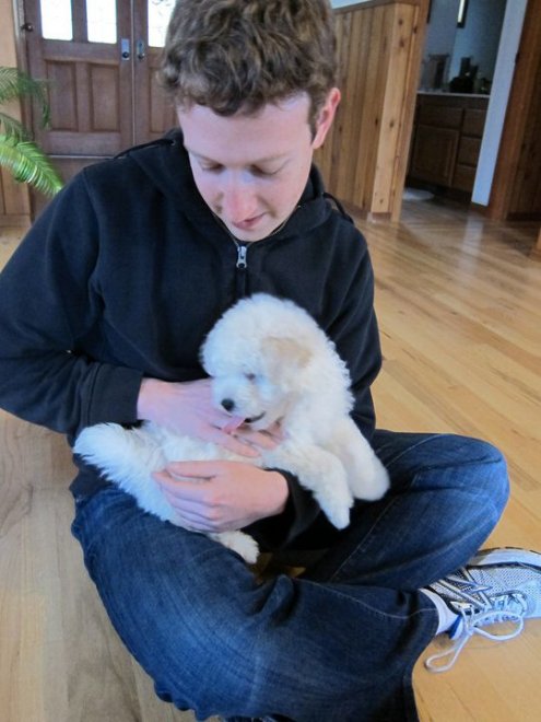 Beast, tra tenerezze e tecnologia: il cane social di Mark Zuckerberg