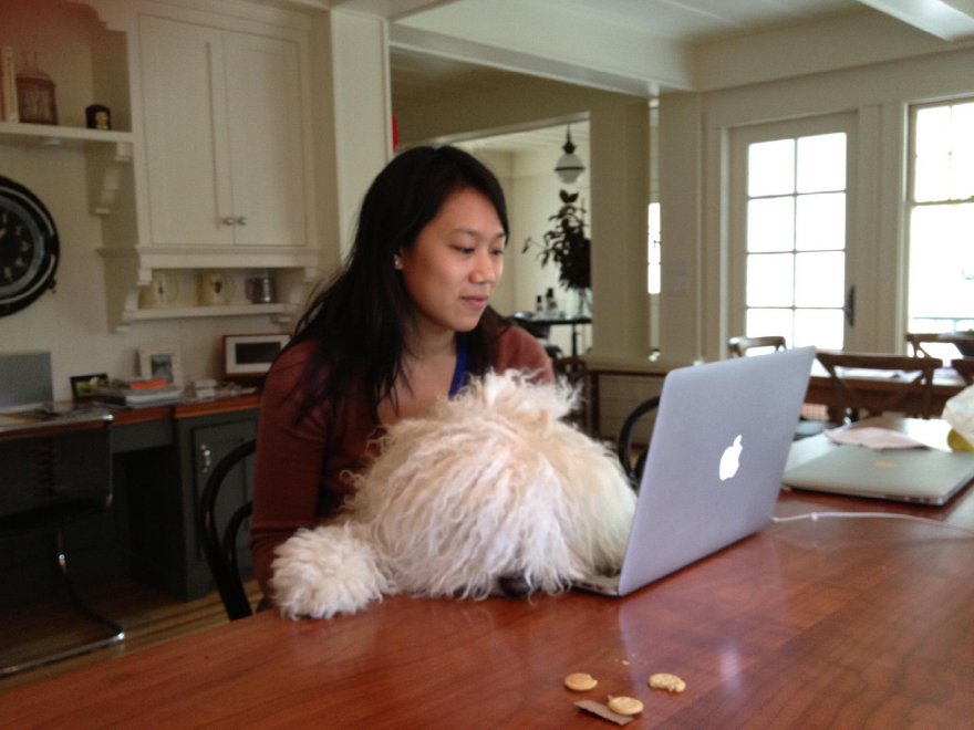 Beast, tra tenerezze e tecnologia: il cane social di Mark Zuckerberg