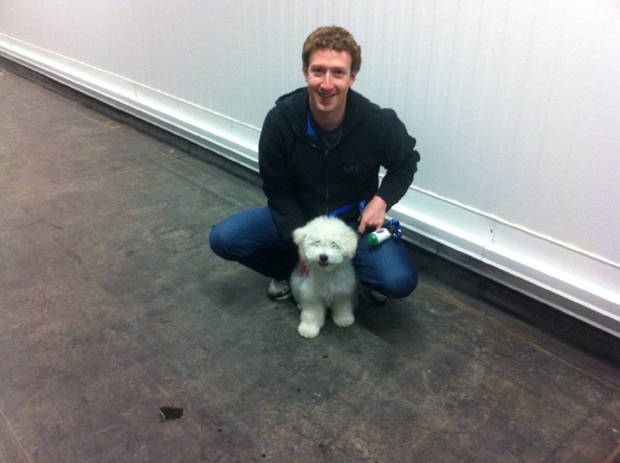 Beast, tra tenerezze e tecnologia: il cane social di Mark Zuckerberg