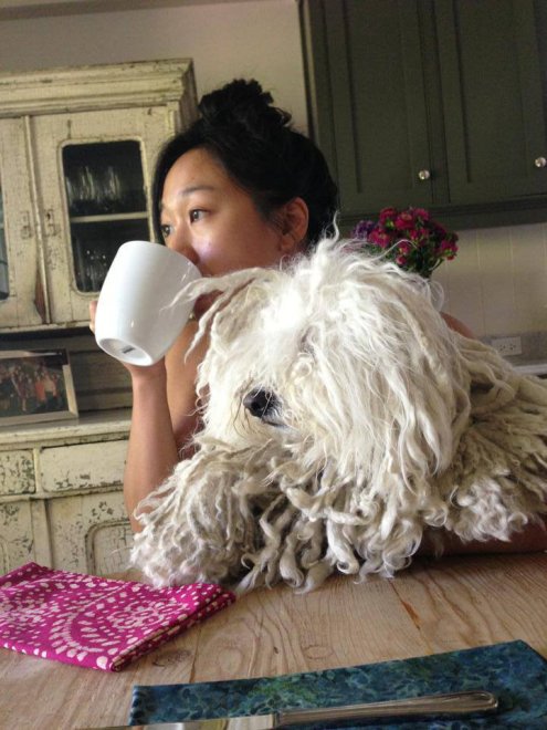 Beast, tra tenerezze e tecnologia: il cane social di Mark Zuckerberg