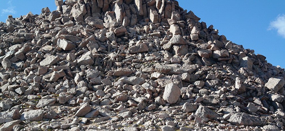 Il montone "camaleonte": scoprite dove si nasconde