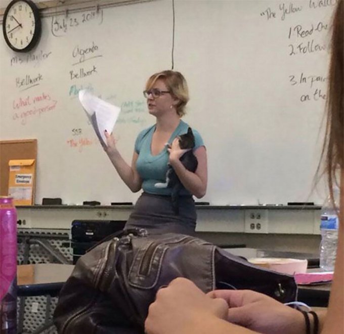 A scuola ridendo: quando è il prof ad avere l'ultima battuta