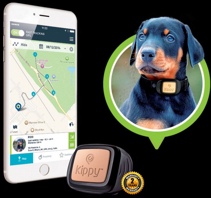 Da Car Finder a Tile: le app che ritrovano oggetti, animali e figli