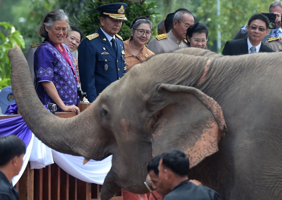Thailandia, la principessa Maha rimette in libertà sei elefanti