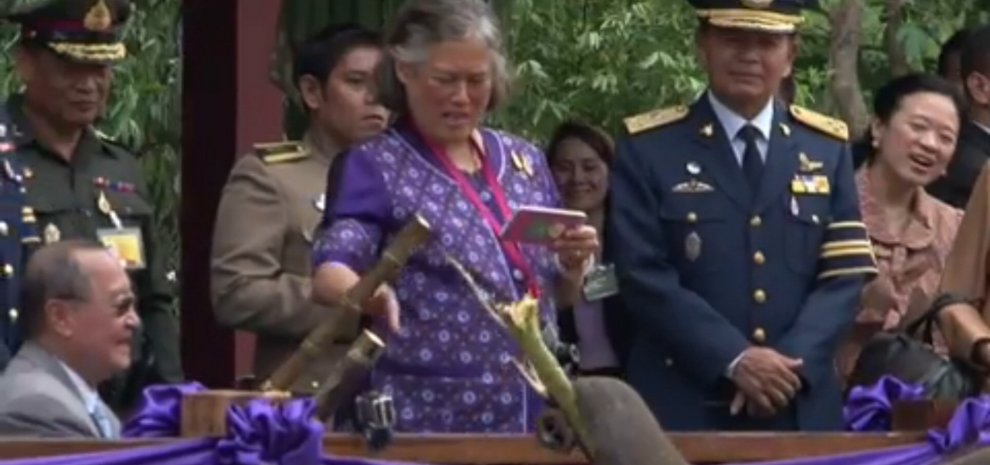 Thailandia, la principessa Maha rimette in libertà sei elefanti