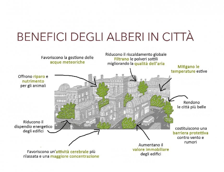 Quel bosco urbano è un cimitero rivoluzionario