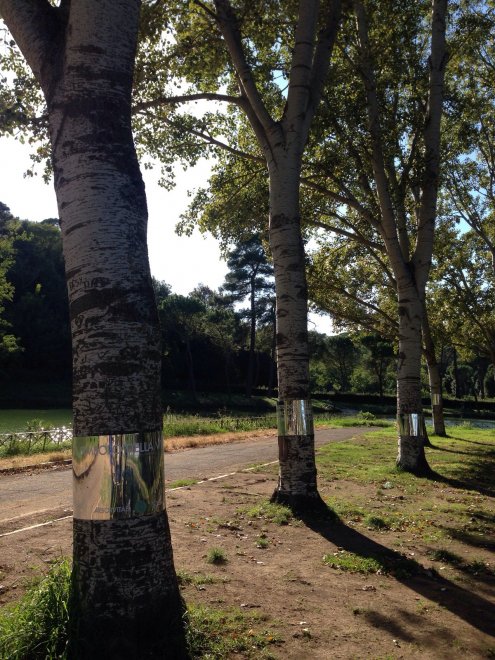 Quel bosco urbano è un cimitero rivoluzionario