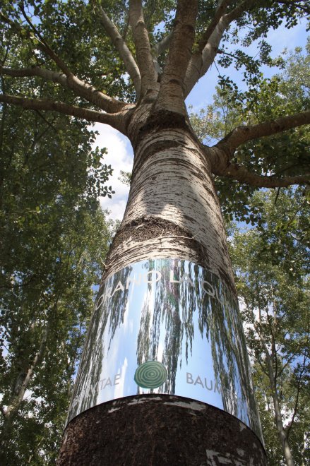Quel bosco urbano è un cimitero rivoluzionario