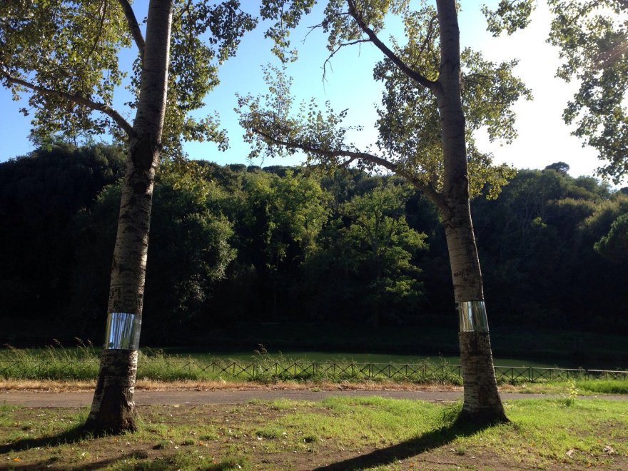 Quel bosco urbano è un cimitero rivoluzionario