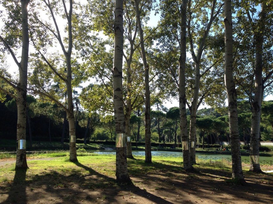 Quel bosco urbano è un cimitero rivoluzionario