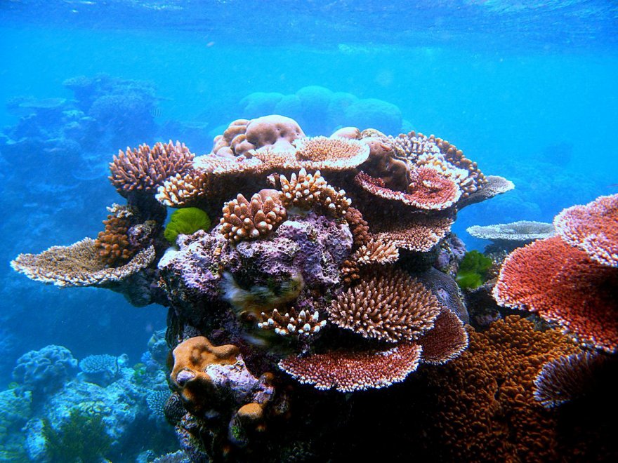  Le più grandi aree protette del mondo
