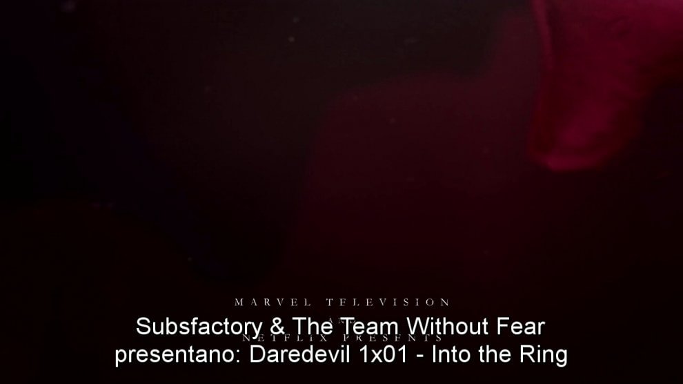 Trucchi e segreti dei fansubber