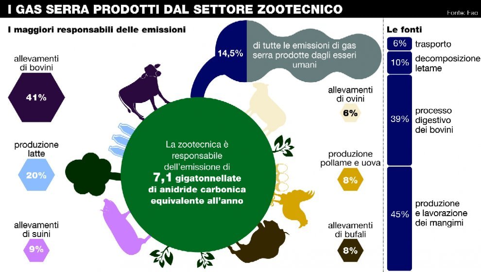 Dalle arance al rabarbaro, quando la natura salva la natura