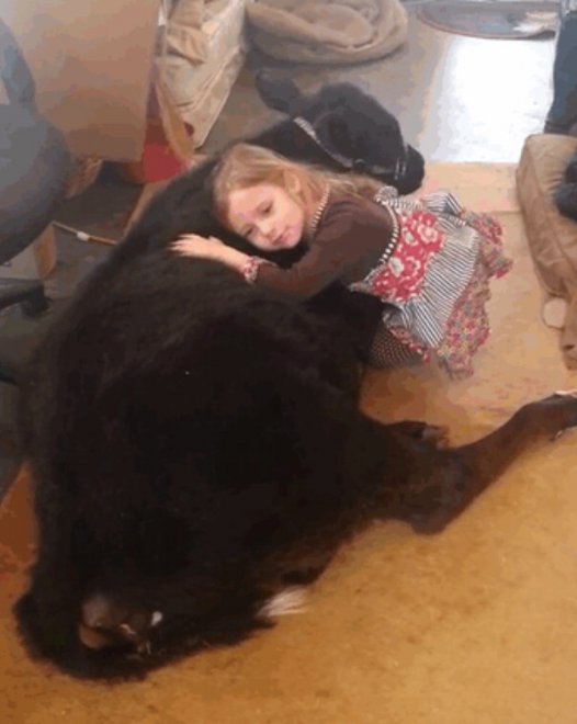 Tutto l'amore che c'è: bimbi, orgoglio di mamma e papà