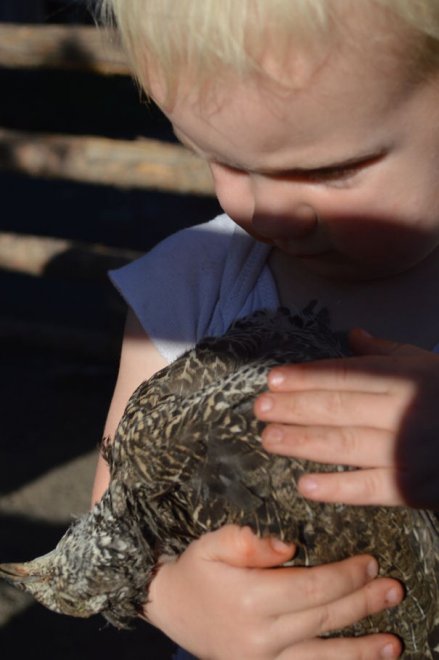 Tutto l'amore che c'è: bimbi, orgoglio di mamma e papà