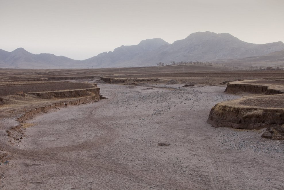 Allarme WWF: per effetto del clima, a rischio specie e biodiversità