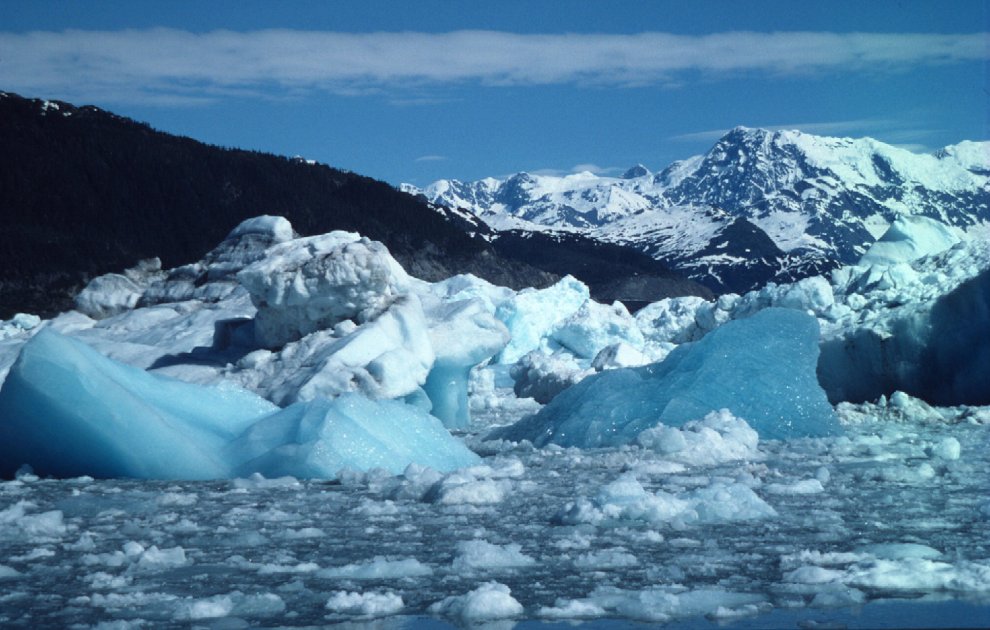 Allarme WWF: per effetto del clima, a rischio specie e biodiversità