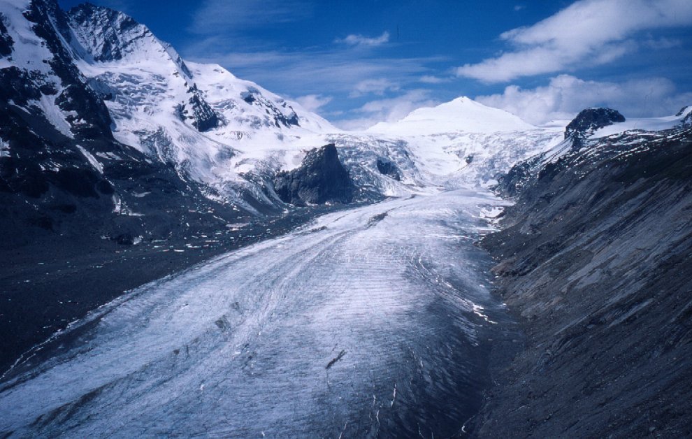 Allarme WWF: per effetto del clima, a rischio specie e biodiversità