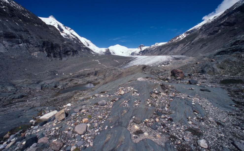 Allarme WWF: per effetto del clima, a rischio specie e biodiversità