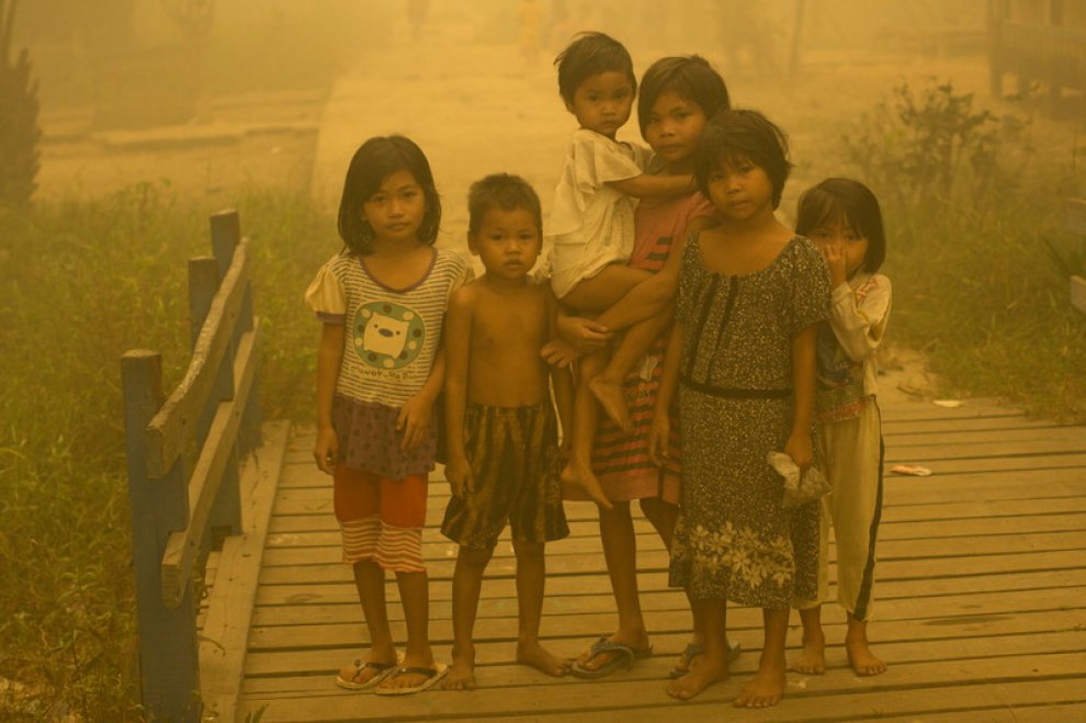 Indonesia, Greenpeace: "Nuovi incendi per far largo alle piantagioni di olio di palma"