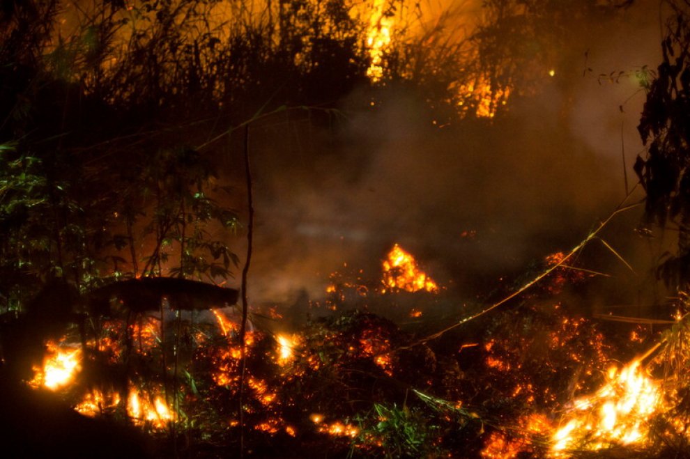 Indonesia, Greenpeace: "Nuovi incendi per far largo alle piantagioni di olio di palma"