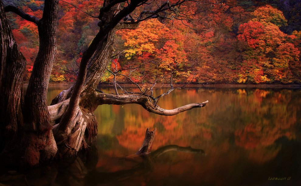 Colori caldi e riflessi sull'acqua: paesaggi surreali a Seul