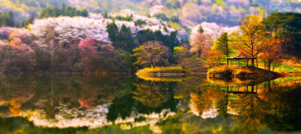 Colori caldi e riflessi sull'acqua: paesaggi surreali a Seul