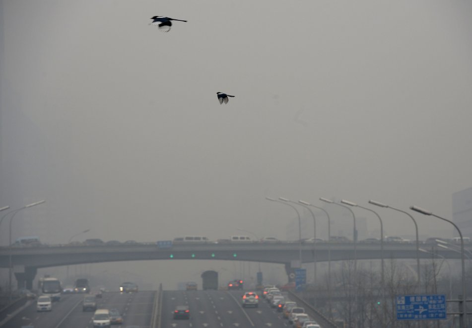 Smog, è allarme rosso: il vademecum cinese
