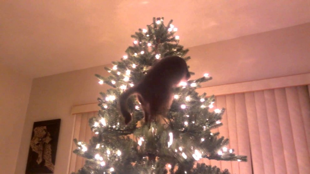 Un Natale da cani: disastri sotto l'albero