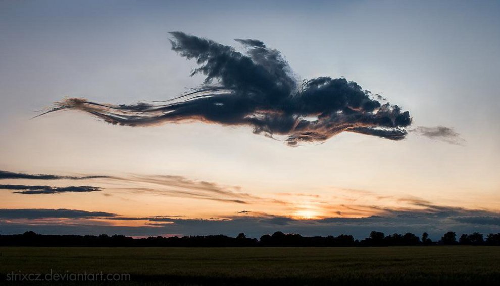 Social network, quella foto è un falso: il 2015 delle bufale