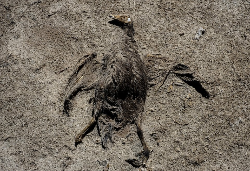 Bolivia, allarme siccità e inquinamento: sparisce il lago Poopò