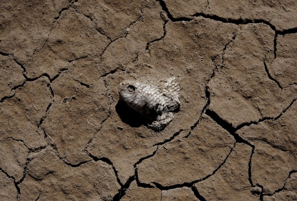Bolivia, allarme siccità e inquinamento: sparisce il lago Poopò