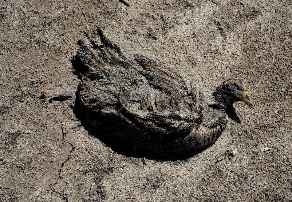 Bolivia, allarme siccità e inquinamento: sparisce il lago Poopò