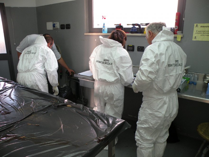 Lupi, un team scientifico per proteggerli