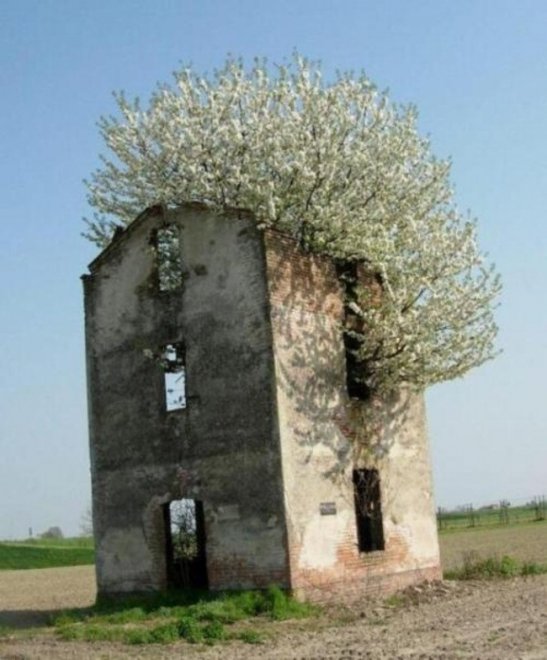 Da Hong Kong a Sorrento: quando la natura si ribella