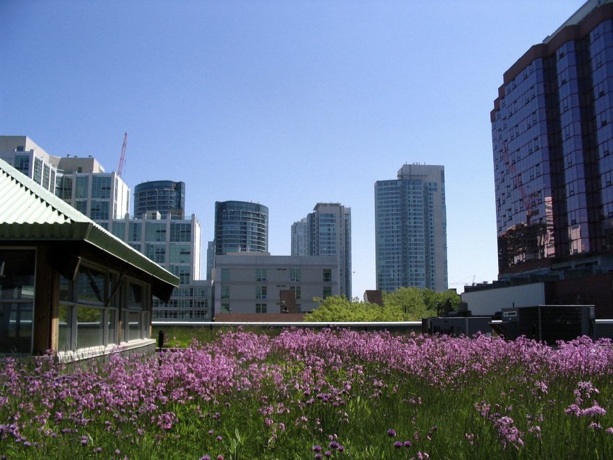 Ecosostenibili e verdi: le 10 strutture top del 2015