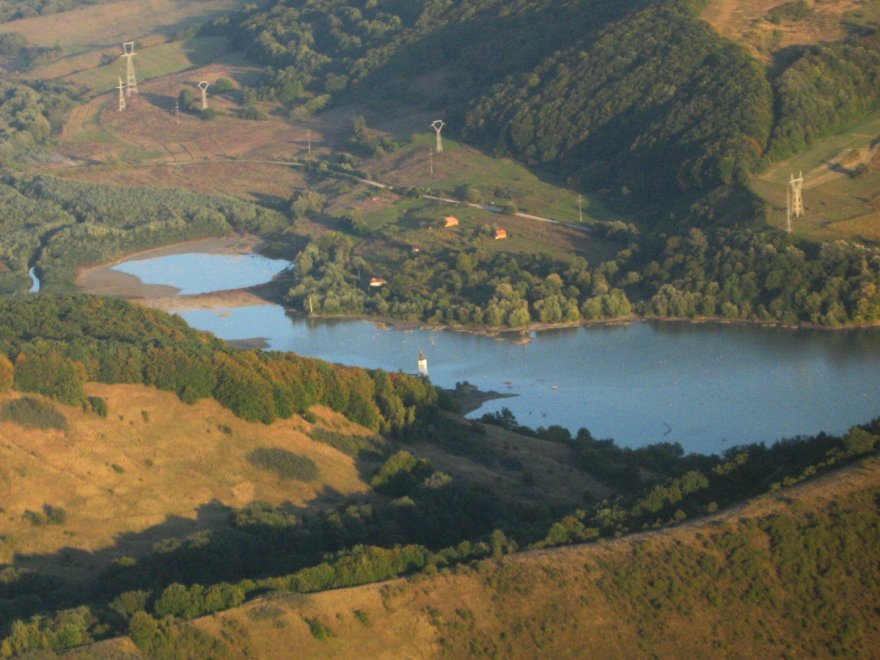 Le radici del lago: lo spettacolo delle foreste sommerse