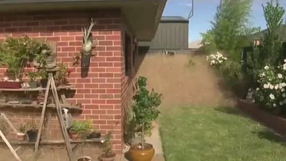 Australia, cittadina infestata da nuvole di erbaccia secca