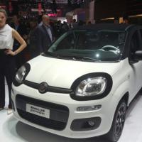 Fiat Kung Fu Panda Concept