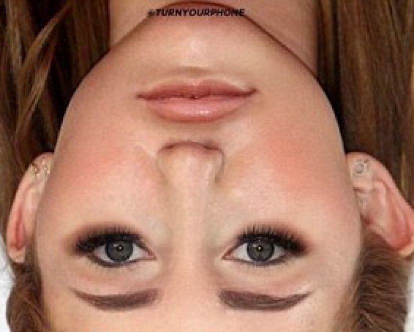 Cosa c'è che non va in questa foto? Il ritratto capovolto di Adele