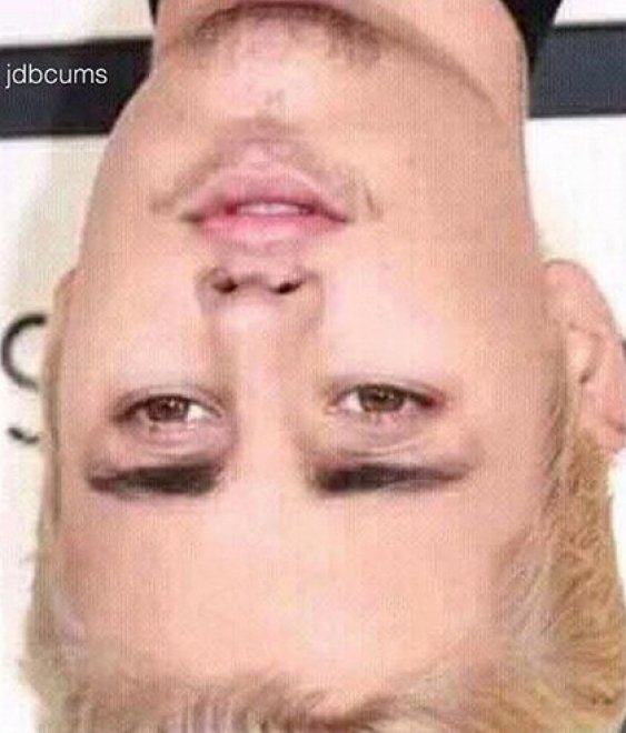 Cosa c'è che non va in questa foto? Il ritratto capovolto di Adele