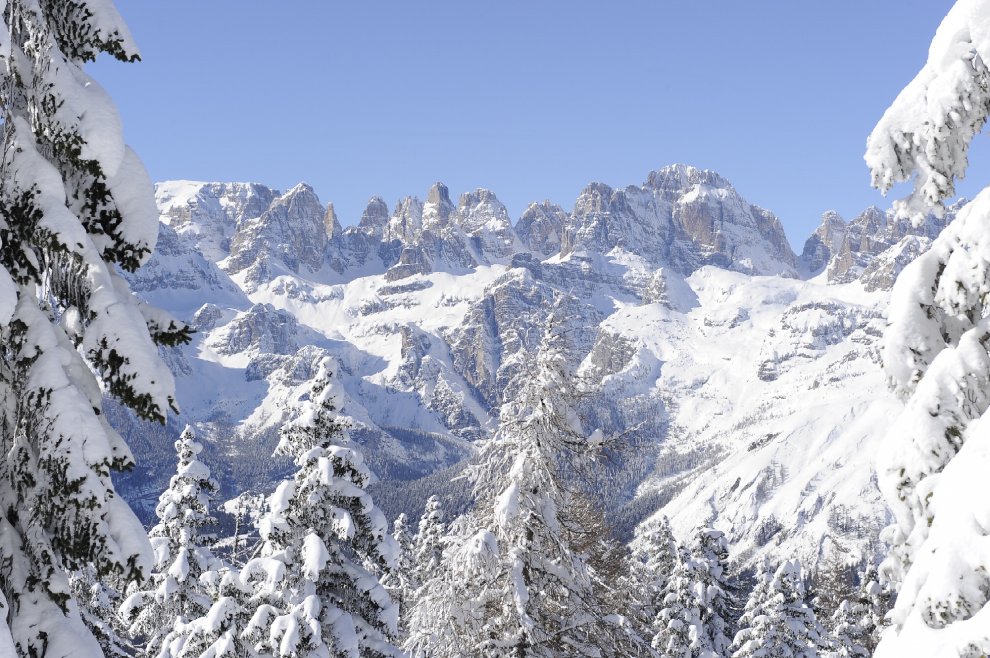 Vita da orso sulle montagne del Trentino