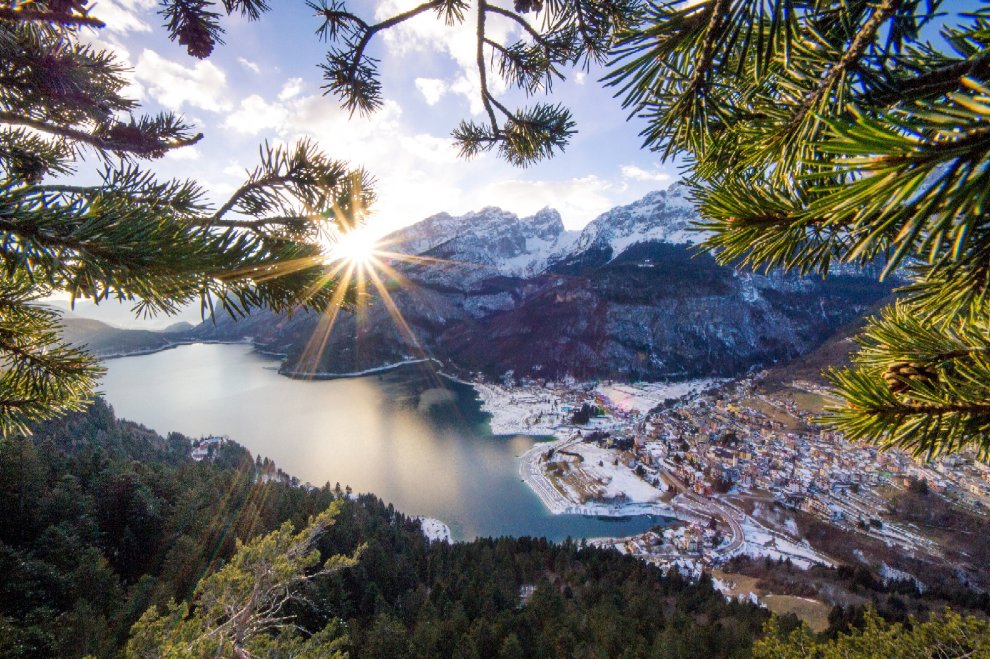 Vita da orso sulle montagne del Trentino
